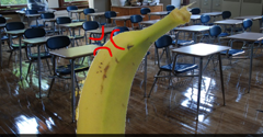 Chop Chop Fruit salad Mystery Jam DokiDoki Dating Sim THingy - Chop Chop Fruit salad Mystery Jam DokiDoki Dating Sim THingy
