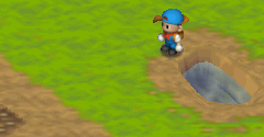 Harvest Moon 64 - Harvest Moon 64
