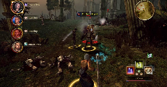 Dragon Age: Origins - Dragon Age: Origins