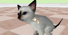 Catz - Catz