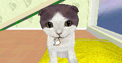 Catz 2 - Catz 2