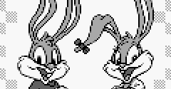 Tiny Toon Adventures: Wacky Sports - Tiny Toon Adventures: Wacky Sports