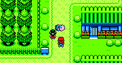 Pokémon Leaf Green (Bootleg) - Pokémon Leaf Green (Bootleg)