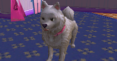 Barbie: Groom and Glam Pups - Barbie: Groom and Glam Pups