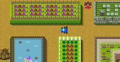 Rally-X Arrangement - Rally-X Arrangement