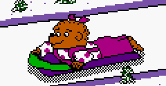 Extreme Sports with the Berenstain Bears - Extreme Sports with the Berenstain Bears