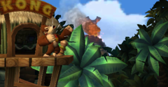 Donkey Kong Country Returns 3D - Donkey Kong Country Returns 3D