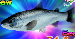 Fishing Master - Fishing Master