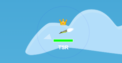 Wings.io - Wings.io