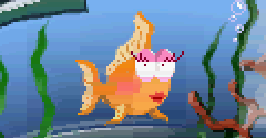 The Fish Files - The Fish Files