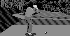 Golf / T&E Virtual Golf - Golf / T&E Virtual Golf