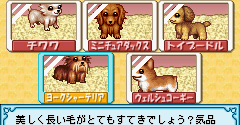 Oshare Wanko (JPN) - Oshare Wanko (JPN)