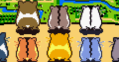 Hamster Paradise 4 (JPN) - Hamster Paradise 4 (JPN)