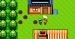 Pokémon Diamond (Bootleg) - Pokémon Diamond (Bootleg)