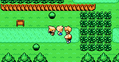 Pokémon Platinum (Bootleg) - Pokémon Platinum (Bootleg)