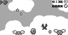 Hunt for Junk - Hunt for Junk