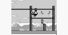 Super Donkey Kong 3 (Bootleg) - Super Donkey Kong 3 (Bootleg)