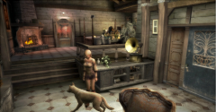 Haunting Ground - Haunting Ground