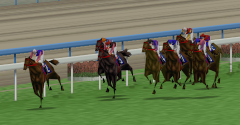 Derby Stallion 64 (JPN) - Derby Stallion 64 (JPN)