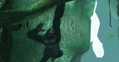 Peter Jackson's King Kong: The Official Game of the Movie - Peter Jackson's King Kong: The Official Game of the Movie