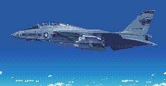 F-14 Tomcat - F-14 Tomcat