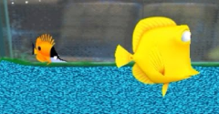 Finding Nemo: Escape to the Big Blue - Special Edition - Finding Nemo: Escape to the Big Blue - Special Edition