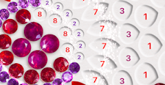 Dazzly: Colour by Number Game - Dazzly: Colour by Number Game