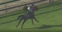Winning Post 7 2012 (JPN) - Winning Post 7 2012 (JPN)