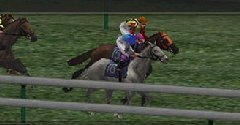Winning Post 6 2008 - Winning Post 6 2008