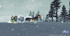Husky Express - Husky Express