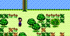 Dragon Ball Adventure (Bootleg) - Dragon Ball Adventure (Bootleg)
