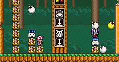Wario's Woods - Wario's Woods