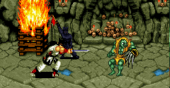 Samurai Shodown - Samurai Shodown