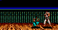 Street Fighter 2 (BRZ) - Street Fighter 2 (BRZ)