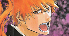 Bleach Customs - Bleach Customs