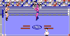 Pro Wrestling - Pro Wrestling