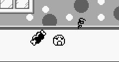 Tamagotchi - Tamagotchi
