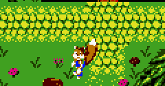 Conker's Pocket Tales - Conker's Pocket Tales