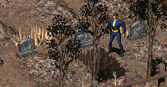 Fallout 2 - Fallout 2