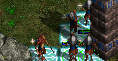 Warlords Battlecry III - Warlords Battlecry III