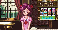 Princess Maker: Legend of Another World (JPN) - Princess Maker: Legend of Another World (JPN)