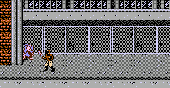 Ninja Gaiden - Ninja Gaiden