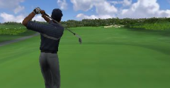 Tiger Woods PGA Tour - Tiger Woods PGA Tour