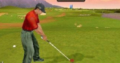 Tiger Woods PGA Tour 10 - Tiger Woods PGA Tour 10