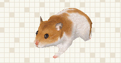 Hamsterz 2 - Hamsterz 2