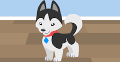 Pet Pals - Pet Pals