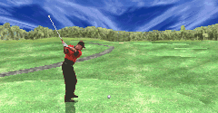 Tiger Woods PGA Tour Golf - Tiger Woods PGA Tour Golf