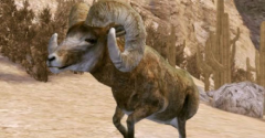 Cabela's Legendary Adventures - Cabela's Legendary Adventures