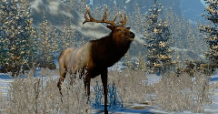 Cabela's North American Adventures - Cabela's North American Adventures