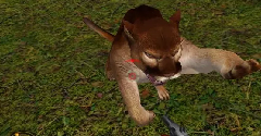 Cabela's Dangerous Hunts 2 - Cabela's Dangerous Hunts 2
